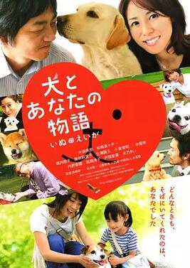 狗狗与你的故事免费观看