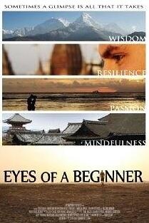 重获光明之旅免费观看