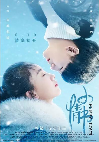 小情书免费观看