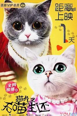 猫片之无喵生还免费观看