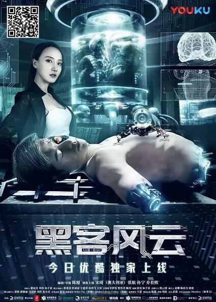 黑客风云免费观看