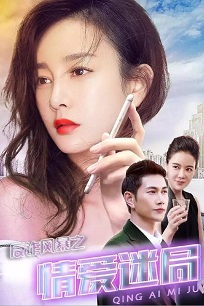 反诈风暴之情爱迷局免费观看