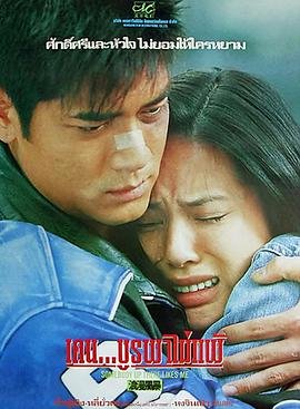 浪漫风暴免费观看