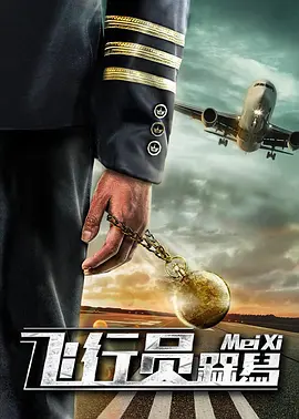 飞行员呆呆鸟免费观看