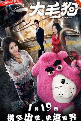 大毛狗免费观看