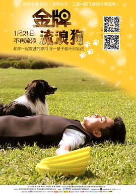 金牌流浪狗免费观看