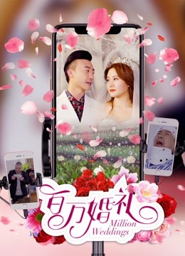 百万婚礼免费观看