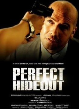 完美隐藏免费观看