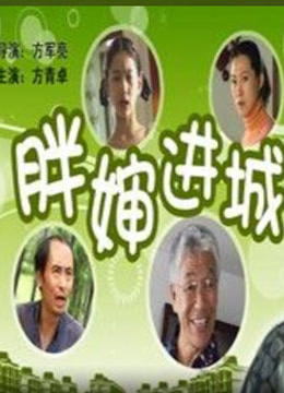 胖婶进城免费观看