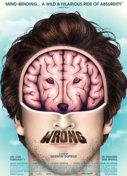 全错了免费观看