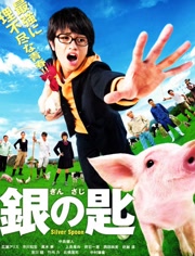 银之匙真人版免费观看