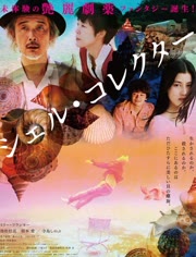 贝壳收藏家免费观看