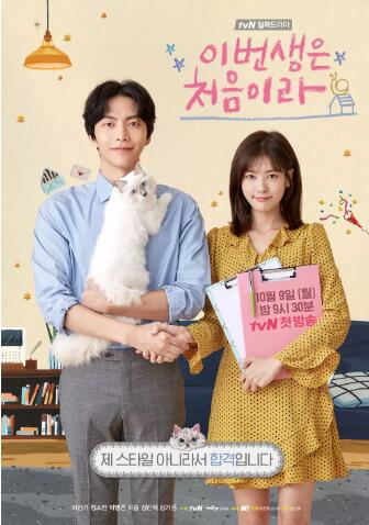 今生是第一次免费观看