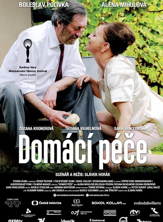 家庭护理免费观看