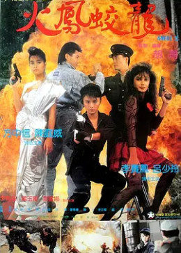 天使行动2：火凤狂龙免费观看