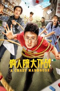 疯人院大作战免费观看