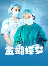 金蝴蝶梦免费观看