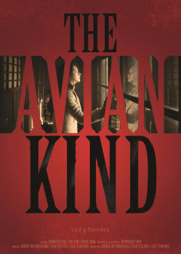 鸟类人间免费观看