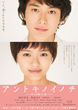 那时的生命免费观看