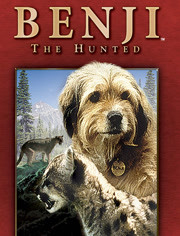 丛林赤子心免费观看