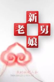 新老娘舅免费观看