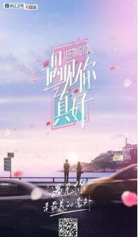 遇见你真好免费观看