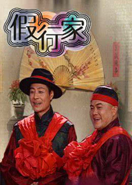 假行家免费观看