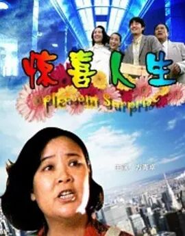 惊喜人生免费观看