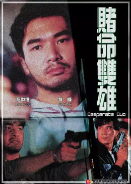 赌命双雄免费观看