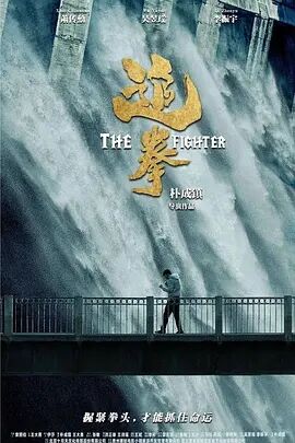 追拳免费观看