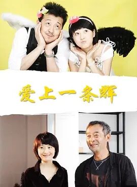 爱上一条辉免费观看