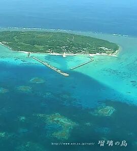 瑠璃之岛免费观看