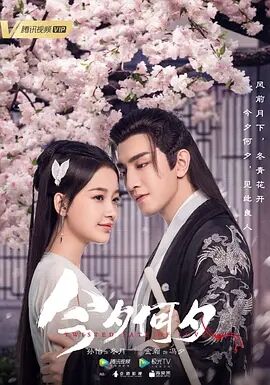 今夕何夕免费观看