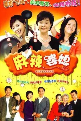 麻辣婆媳免费观看