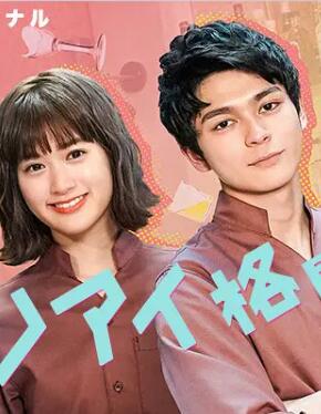 恋爱格斗家免费观看