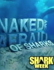 原始生活21天 鲨鱼特集免费观看