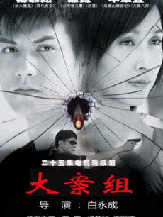 大案组免费观看