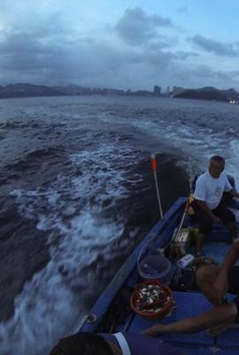 他们的海免费观看