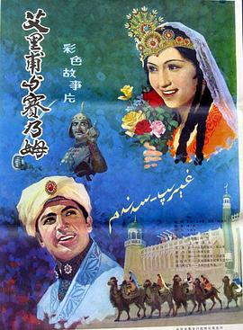 艾里甫与赛乃姆1981免费观看