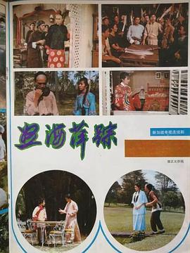 怒海萍踪免费观看