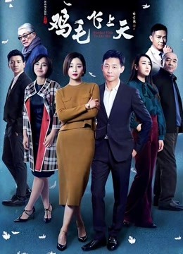 鸡毛飞上天免费观看