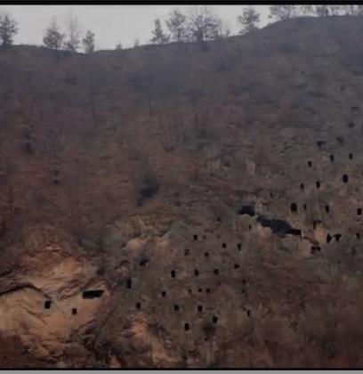 狩猎场·寄死窑免费观看