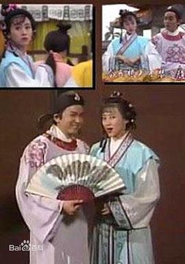 最佳才子国语免费观看