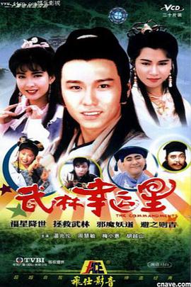 武林幸运星国语免费观看