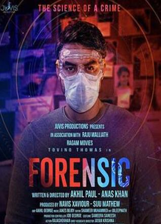 法证英豪免费观看