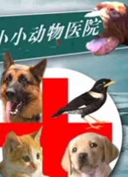 小小动物医院免费观看