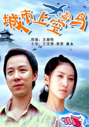 城市上空的鸟免费观看