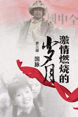 激情燃烧的岁月3免费观看