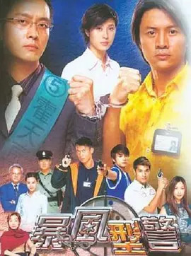 暴风刑警国语免费观看