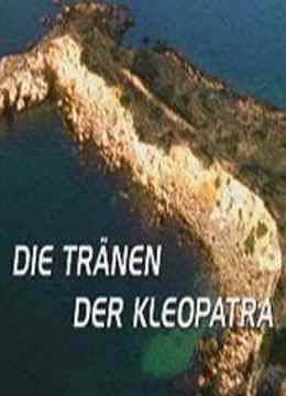 海上惊鱼睡美人免费观看